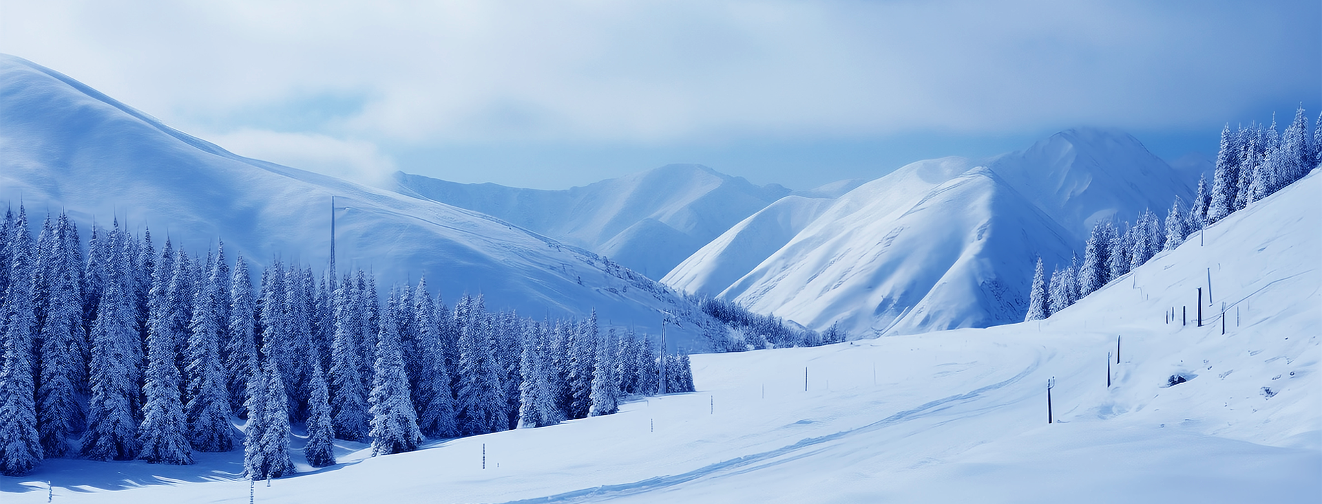 2121�Ƿ���(�й���)�����ٷ���վ